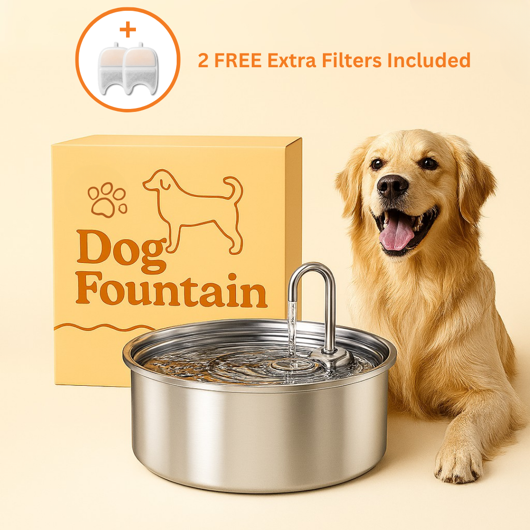 The Doggy Fountain