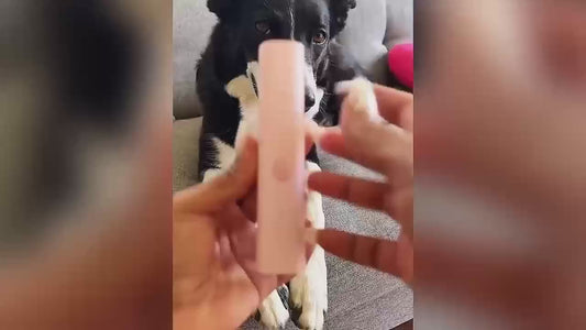 Electric Pet Nail File